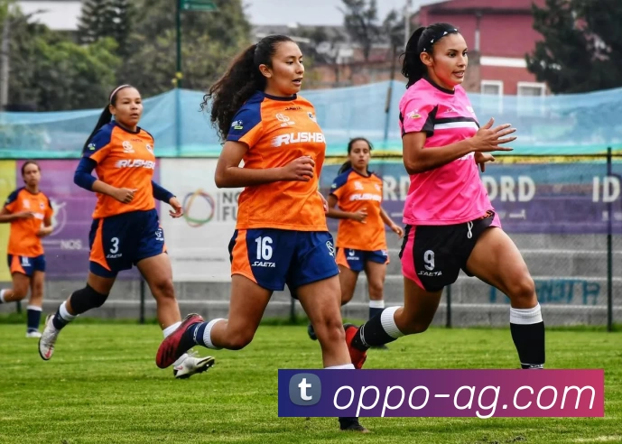 AG娱乐发展历程